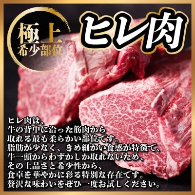 飛騨牛 ヒレ2本(約6～8kg)【シャトーブリアン＆ヒレ】A4～A5等級 黒毛和牛【配送不可地域：離島】