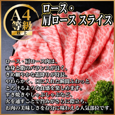 飛騨牛 厳選ロース・肩ローススライス500g　すき焼き・しゃぶしゃぶ用牛肉　黒毛和牛【配送不可地域：離島】