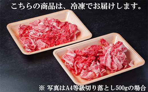 飛騨牛 厳選切り落とし 800g(400g×2)　A4～A5等級　黒毛和牛　小分け【配送不可地域：離島】