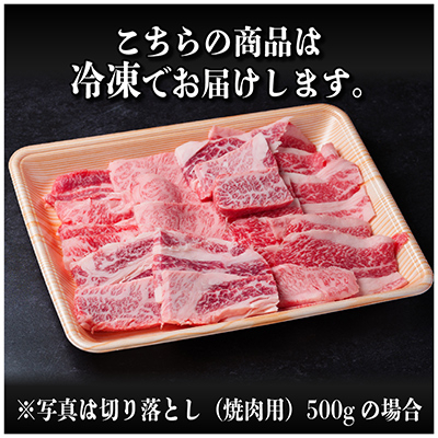 飛騨牛 厳選切り落とし(焼肉・BBQ用) 500g　訳あり 黒毛和牛　4～A5等級【配送不可地域：離島】