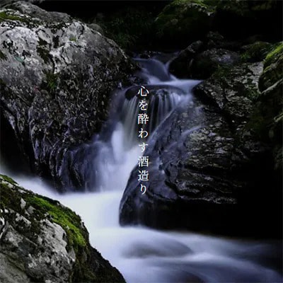 日本酒仕込みリキュールセット　500ml×4種(梅・柚子・生姜・ヨーグルト)　セット