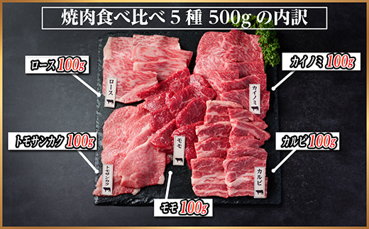 飛騨牛 焼肉厳選5種食べ比べセット(カルビ・トモサンカク・モモ・ロース・カイノミ)約500gタレ付き【配送不可地域：離島】
