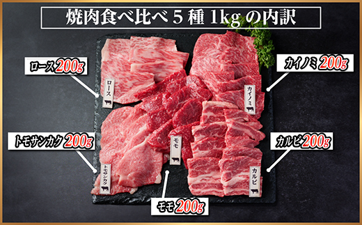 飛騨牛　焼肉厳選5種食べ比べセット(カルビ・トモサンカク・モモ・ロース・カイノミ)約1kg　タレ付き【配送不可地域：離島】