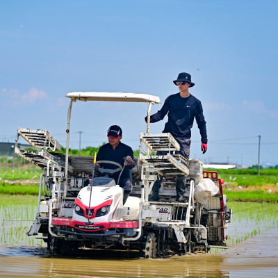 令和7年産　岐阜県産ハツシモ(玄米)5kg【配送不可地域：離島】