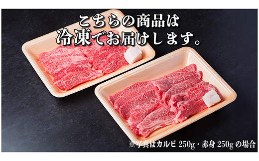 飛騨牛 厳選カルビ・赤身(焼肉・BBQ用) 800g(各400g)　黒毛和牛　小分け　A4～A5等級【配送不可地域：離島】