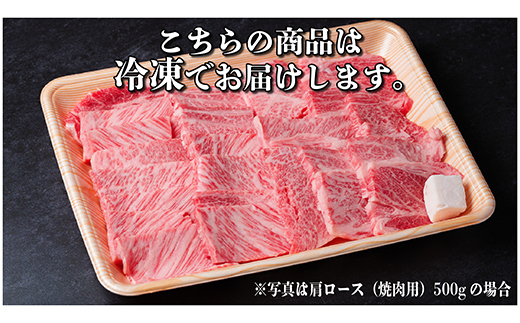 飛騨牛　厳選肩ロース(焼肉・BBQ用)500g　A4～A5等級　黒毛和牛【配送不可地域：離島】