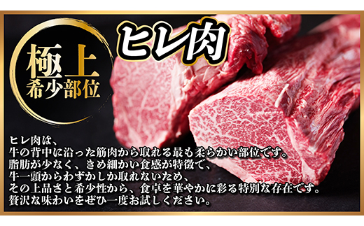 【毎月定期便】飛騨牛 ヒレ1本(約4～5kg)【シャトーブリアン＆ヒレ】冷蔵便全12回【配送不可地域：離島】
