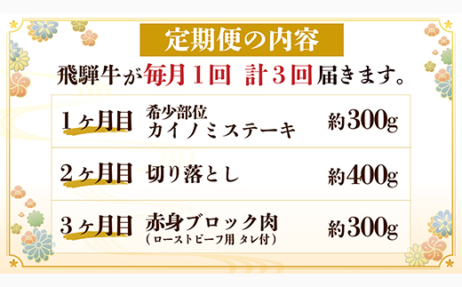 【毎月定期便】飛騨牛 少なめ定期便 計1kg【冷蔵便】全3回 赤身ステーキ 切り落とし 赤身ブロック【配送不可地域：離島】