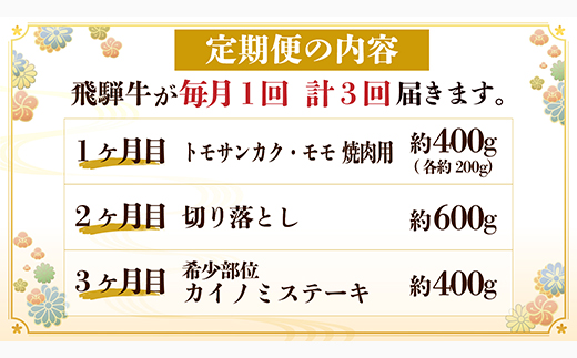 【毎月定期便】飛騨牛 定期便 計1.4kg【冷蔵便】A4～A5 バーベキュー 牛丼 希少部位 全3回【配送不可地域：離島】
