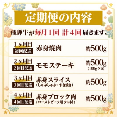 【毎月定期便】飛騨牛 赤身定期便 計2kg 焼肉 BBQ すき焼き しゃぶしゃぶ ブロック全4回【配送不可地域：離島】