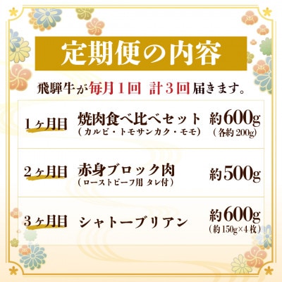 【毎月定期便】飛騨牛 極定期便 計1.7kg【冷蔵便】A4～A5等級 シャトーブリアンほか 全3回【配送不可地域：離島】