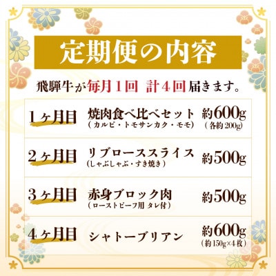 【毎月定期便】飛騨牛 極定期便 計2.2kg【冷蔵便】A4～A5等級 シャトーブリアンほか 全4回【配送不可地域：離島】