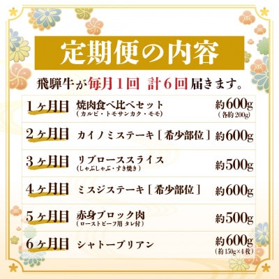 【毎月定期便】飛騨牛 極定期便 計3.4kg【冷蔵便】A4～A5等級 シャトーブリアンほか 全6回【配送不可地域：離島】