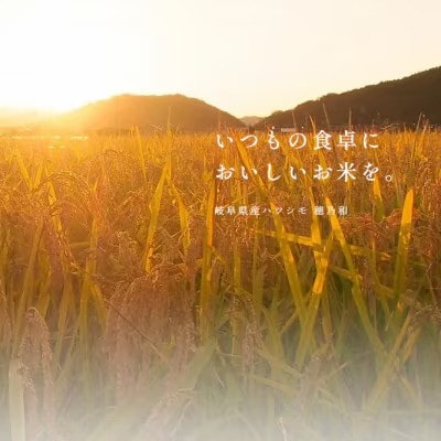 【発送月固定定期便】【先行予約】岐阜県産ハツシモ(無洗米)5kg 毎月定期便全9回【配送不可地域：離島】