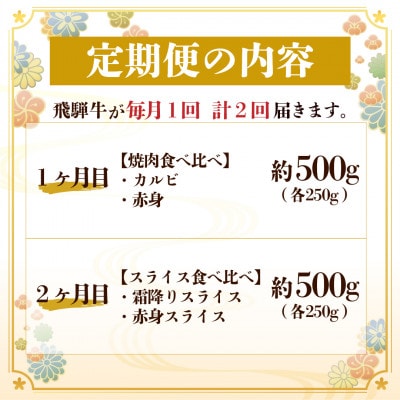 飛騨牛霜降り・赤身食べ比べセット　2ヶ月定期便　計1kg　A4～A5【配送不可地域：離島】