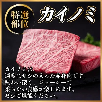 【毎月定期便】飛騨牛 カイノミステーキ定期便 毎月400g【冷蔵便】A4～A5 厳選希少部位 全3回【配送不可地域：離島】