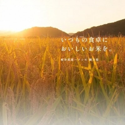 【発送月固定定期便】【先行予約】岐阜県産ハツシモ(無洗米)10kg全2回【配送不可地域：離島】