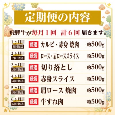 【毎月定期便】飛騨牛　赤身・霜降り定期便　計3kg カルビ・ロース(焼肉・BBQ用) すね肉全6回【配送不可地域：離島】