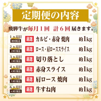 【毎月定期便】飛騨牛　赤身・霜降り定期便　計6kg カルビ・ロース(焼肉・BBQ用) すね肉全6回【配送不可地域：離島】