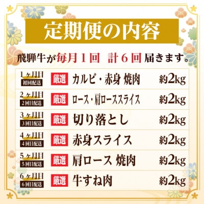 【毎月定期便】飛騨牛　赤身・霜降り定期便　計12kg カルビ・ロース(焼肉・BBQ用) すね肉全6回【配送不可地域：離島】