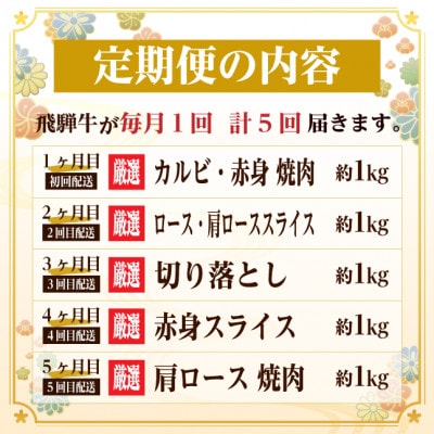 【毎月定期便】飛騨牛　赤身・霜降り定期便　計5kg カルビ・赤身・ロース(焼肉・BBQ用)全5回【配送不可地域：離島】