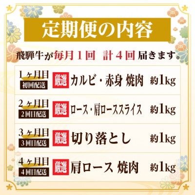 【毎月定期便】飛騨牛　赤身・霜降り定期便　計4kg カルビ・赤身・ロース(焼肉・BBQ用)全4回【配送不可地域：離島】