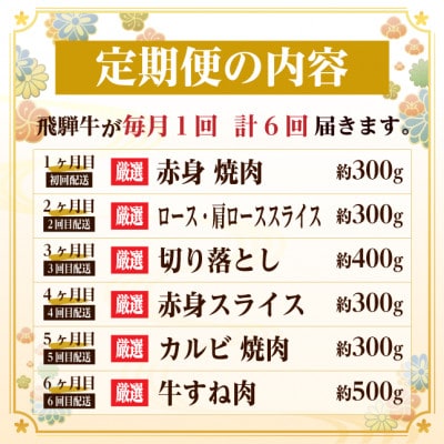 【毎月定期便】飛騨牛　厳選少なめ定期便　計2.1kg　カルビ・赤身(BBQ用)ロース すね肉全6回【配送不可地域：離島】