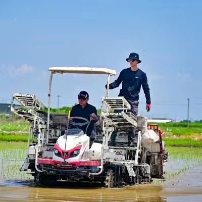 【2ヵ月毎定期便】岐阜県産ハツシモ(精米) 10kg全6回【配送不可地域：離島】