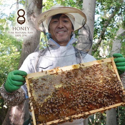 クロガネモチ(はちみつ)300g×2本