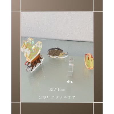 季節のアクリル積み木　収納ケース付～11月～