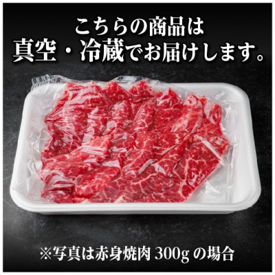 飛騨牛 赤身(焼肉・BBQ用) 約800g【冷蔵便】A4～A5等級 黒毛和牛【配送不可地域：離島】
