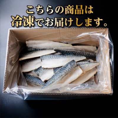 【訳あり】ノルウェー産　塩さば　フィレ　約5kg【配送不可地域：離島】