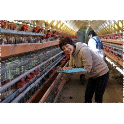 吉川養鶏のグルメ卵(L～Mサイズ10個×3パック)　贈答箱　観光協会推奨【はしまブランド】認定品　【配送不可地域：離島】