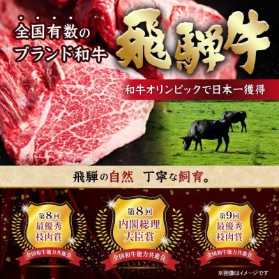 飛騨牛A5等級 肩ローススライス 500g(すき焼き・しゃぶしゃぶ用)【配送不可地域：離島】