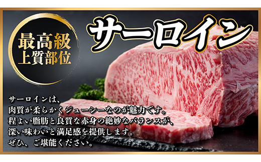 飛騨牛　ステーキ2種食べ比べセット　計400g【冷蔵便】A4～A5等級　黒毛和牛　シャトーブリアン他【配送不可地域：離島】