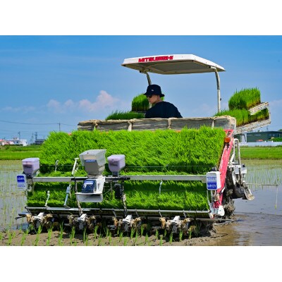 令和7年産　岐阜県産ハツシモ(精米)5kg【配送不可地域：離島】