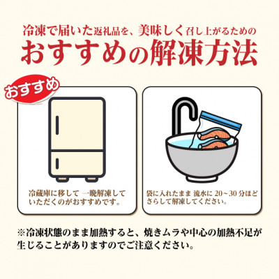 【訳あり】北海道産 塩鮭(秋鮭) 切り身 約1kg 冷凍【配送不可地域：離島】