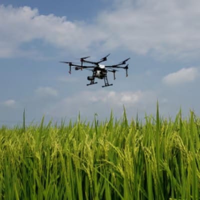 【2ヵ月毎定期便】岐阜県産ハツシモ　10kg(精米5kg×2袋)全6回