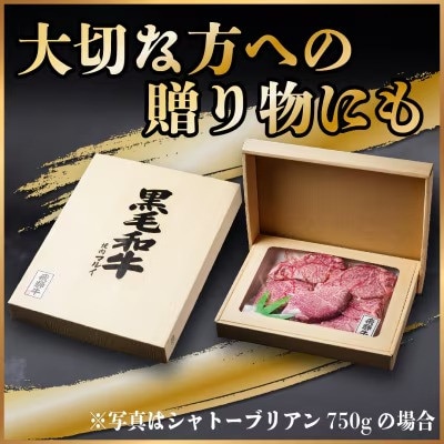 【2ヵ月毎定期便】飛騨牛 シャトーブリアン600g【冷蔵便】A4～A5等級 黒毛和牛 贈答用全6回【配送不可地域：離島】