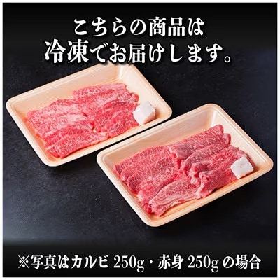 【毎月定期便】飛騨牛　赤身・霜降り定期便　計10kg カルビ・赤身・ロース(焼肉・BBQ用)全5回【配送不可地域：離島】