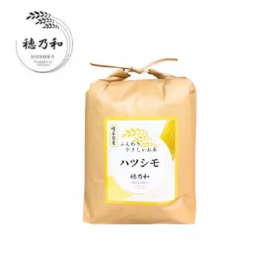 【2ヵ月毎定期便】岐阜県産ハツシモ(無洗米) 10kg全6回【配送不可地域：離島】