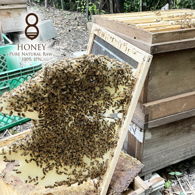 クロガネモチ(はちみつ)300g