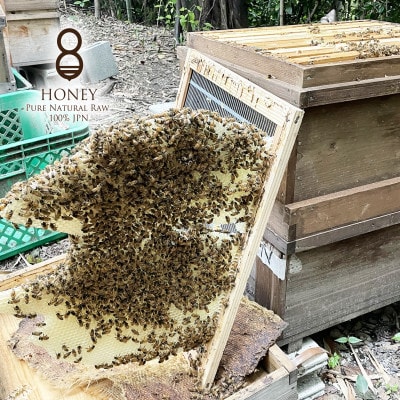 珠玉の百花(はちみつ)300g