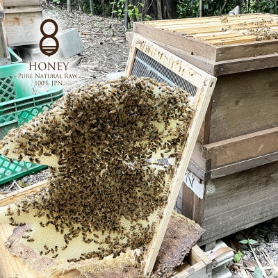 早春の初搾り(はちみつ)180g