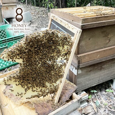 クロガネモチ(はちみつ)180g