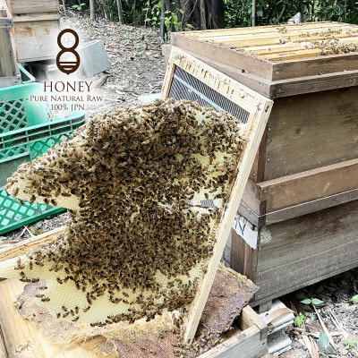 珠玉の百花(はちみつ)300g×2本