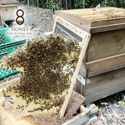 珠玉の百花(はちみつ)180g×2本