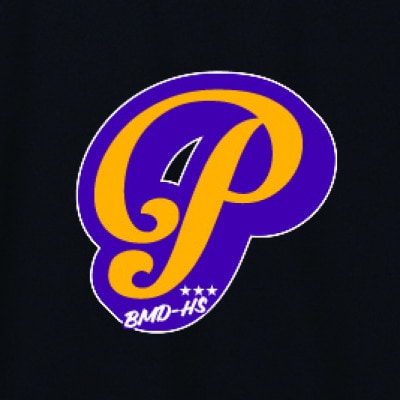 JTTA公認　卓球ユニフォーム【男女兼用(ドライ):Lサイズ】アルファベット　P　ブラック