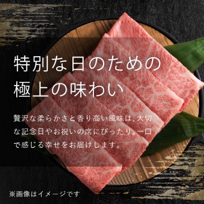 飛騨牛5等級 サーロインステーキ600g(200g×3枚)　FTA166【配送不可地域：離島】