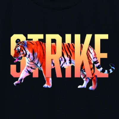 JTTA公認　卓球ユニフォーム【男女兼用(ドライ):150サイズ】タイガー　ブラック